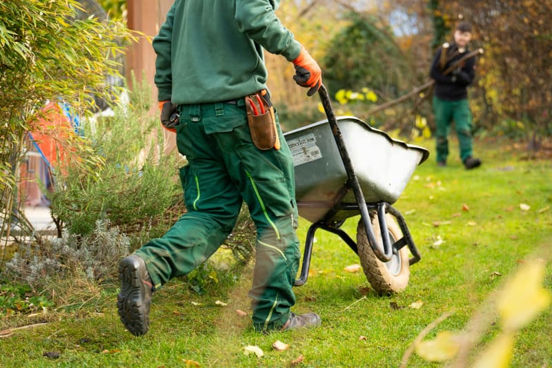 Professionelle Gartenbauarbeiten - Gärtner in grüner Arbeitskleidung mit Schubkarre bei der Gartenarbeit